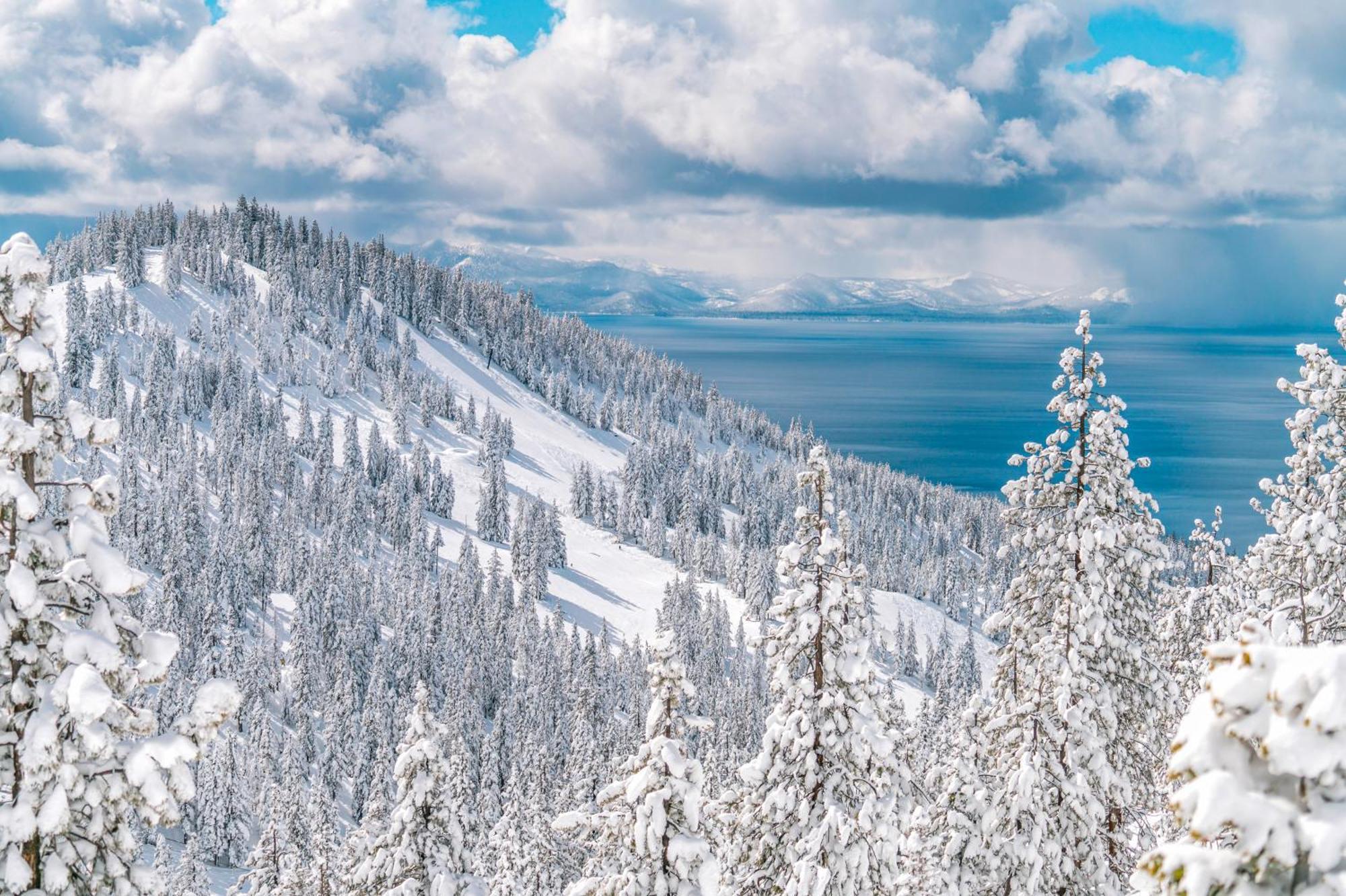 Tahome & Tahoe Place Инклайн-Виллидж Номер фото